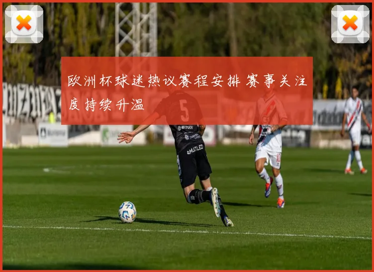 欧洲杯球迷热议赛程安排 赛事关注度持续升温