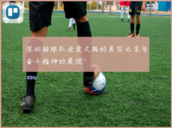 深圳排球队逆袭之路的真实记录与奋斗精神的展现