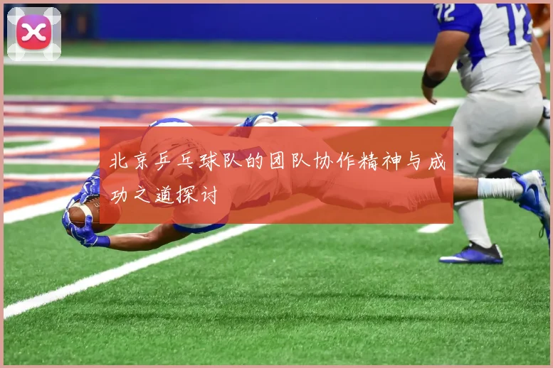 北京乒乓球队的团队协作精神与成功之道探讨