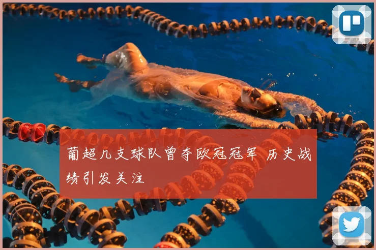 葡超几支球队曾夺欧冠冠军 历史战绩引发关注