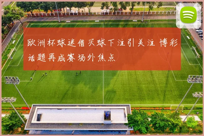 欧洲杯球迷借买球下注引关注 博彩话题再成赛场外焦点