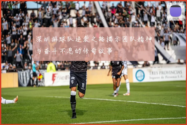 深圳排球队逆袭之路揭示团队精神与奋斗不息的传奇故事