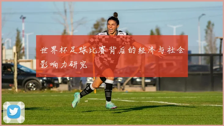 世界杯足球比赛背后的经济与社会影响力研究