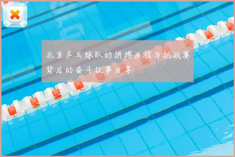 北京乒乓球队的拼搏历程与挑战赛背后的奋斗故事分享