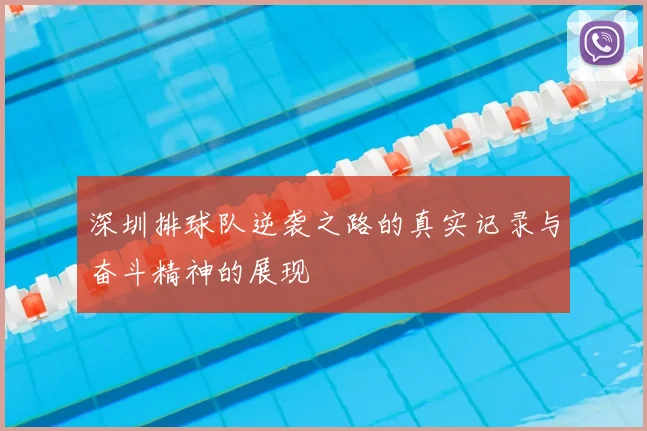 深圳排球队逆袭之路的真实记录与奋斗精神的展现